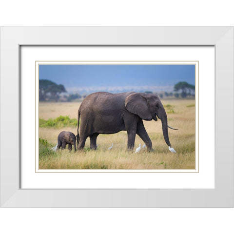 Life White Modern Wood Framed Art Print with Double Matting by Feng, Young