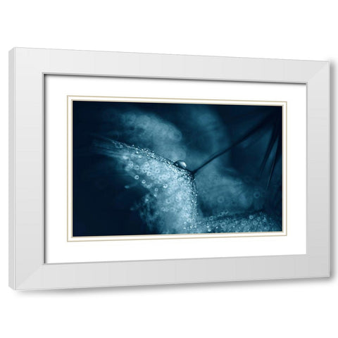 Blue Dandelions White Modern Wood Framed Art Print with Double Matting by Blagoeva, Ivelina