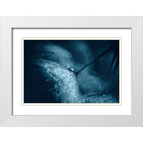 Blue Dandelions White Modern Wood Framed Art Print with Double Matting by Blagoeva, Ivelina