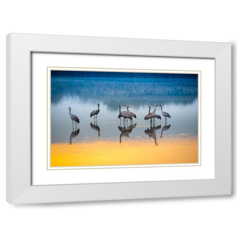 Untitled White Modern Wood Framed Art Print with Double Matting by Amer, Eyal
