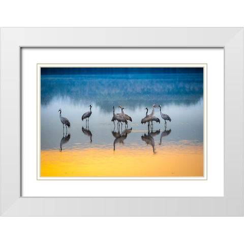 Untitled White Modern Wood Framed Art Print with Double Matting by Amer, Eyal