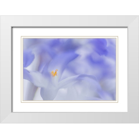 Blue Waves White Modern Wood Framed Art Print with Double Matting by De Hoog, Roelof