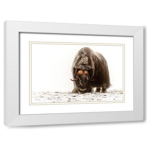 Between The Fog And Frost White Modern Wood Framed Art Print with Double Matting by Damico, Giuseppe