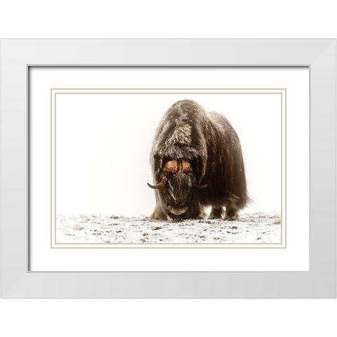 Between The Fog And Frost White Modern Wood Framed Art Print with Double Matting by Damico, Giuseppe