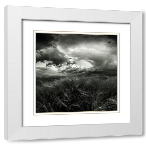 After The Storm White Modern Wood Framed Art Print with Double Matting by Pfleghart, Franziskus