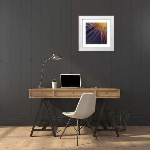 Ice And Flame White Modern Wood Framed Art Print with Double Matting by Solovieva, Elena