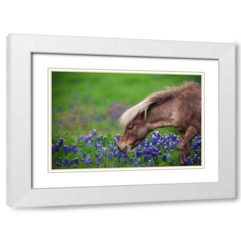 Spring Is In The Air... White Modern Wood Framed Art Print with Double Matting by Zheng, Michael
