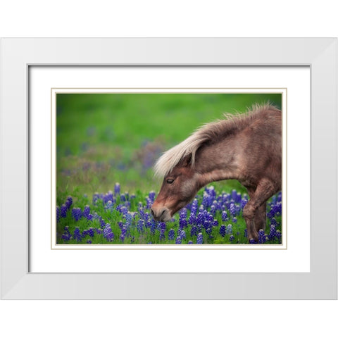 Spring Is In The Air... White Modern Wood Framed Art Print with Double Matting by Zheng, Michael