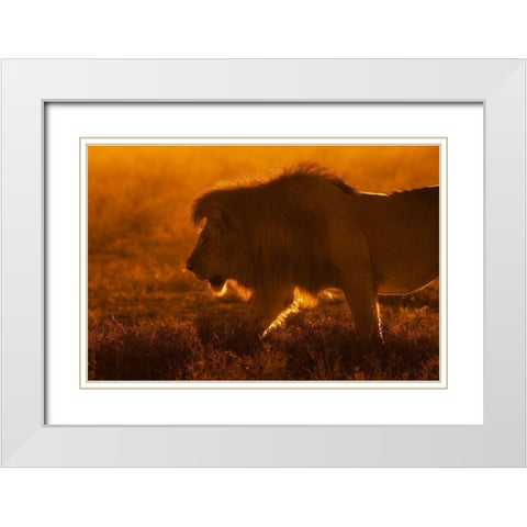Shiny King White Modern Wood Framed Art Print with Double Matting by Alnaser, Mohammed