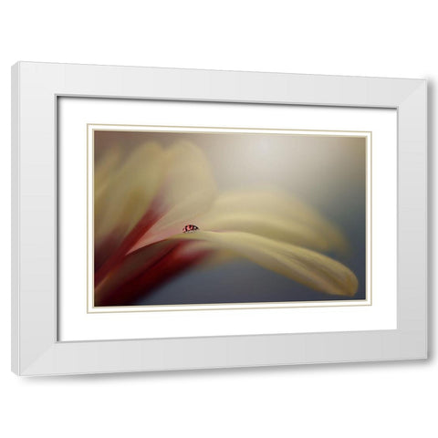 The Journey White Modern Wood Framed Art Print with Double Matting by Pamungkas, Edy