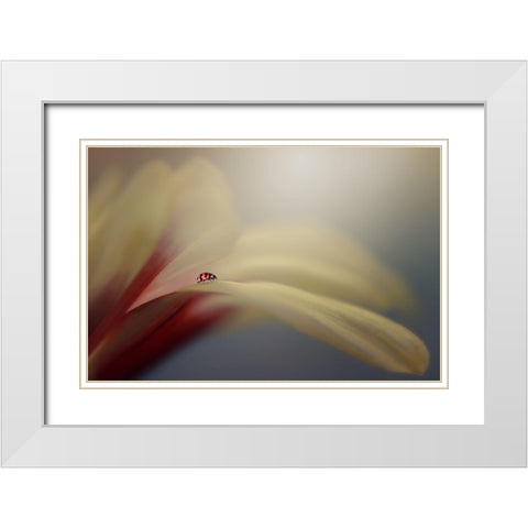 The Journey White Modern Wood Framed Art Print with Double Matting by Pamungkas, Edy