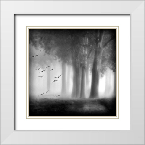 Morning Trees White Modern Wood Framed Art Print with Double Matting by Van Bijnen, Jacqueline