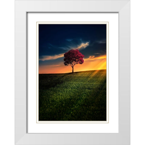 Awesome Solitude White Modern Wood Framed Art Print with Double Matting by Hamiti, Bess