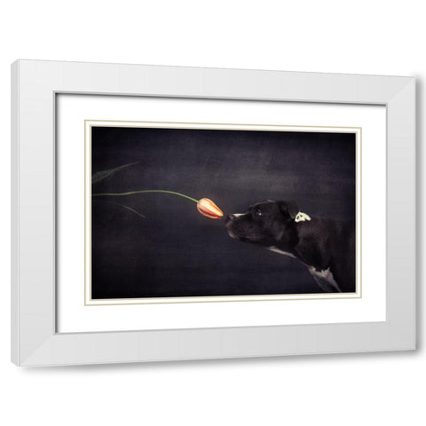 First Approach - Hildegard And The Tulip White Modern Wood Framed Art Print with Double Matting by Willers, Heike