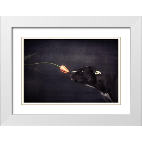 First Approach - Hildegard And The Tulip White Modern Wood Framed Art Print with Double Matting by Willers, Heike