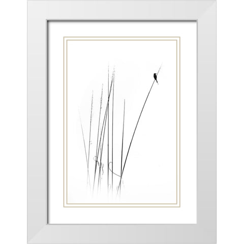 A Sabbatical White Modern Wood Framed Art Print with Double Matting by Swapnil