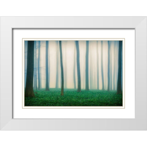 Daydreaming Of Bluebells White Modern Wood Framed Art Print with Double Matting by Popan, Adrian