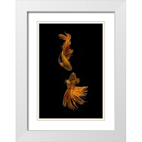 Love Story Of The Golden Fish White Modern Wood Framed Art Print with Double Matting by Rahayu, Ganjar