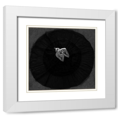 Black Swan White Modern Wood Framed Art Print with Double Matting by Krystynek MQEP, Martin