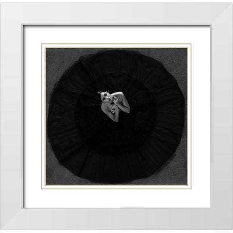 Black Swan White Modern Wood Framed Art Print with Double Matting by Krystynek MQEP, Martin