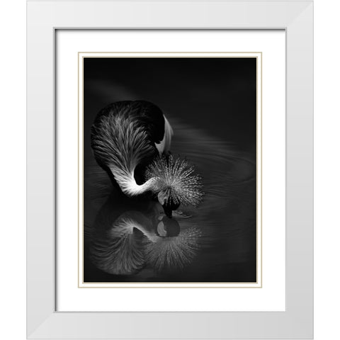 The Reflection White Modern Wood Framed Art Print with Double Matting by Tjandra, C.S.