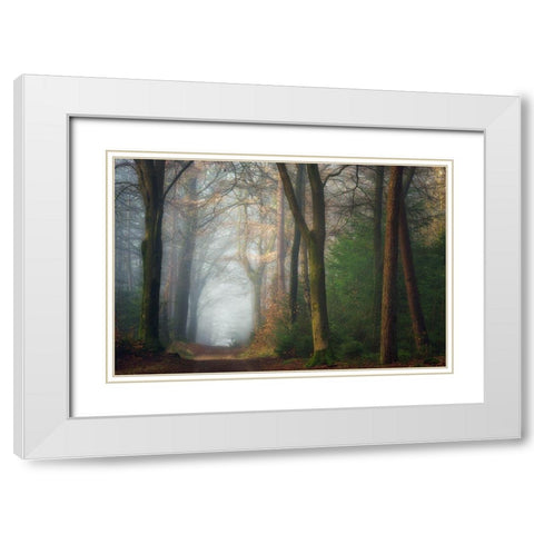 Once Upon A Dream White Modern Wood Framed Art Print with Double Matting by Borggreve, Ellen