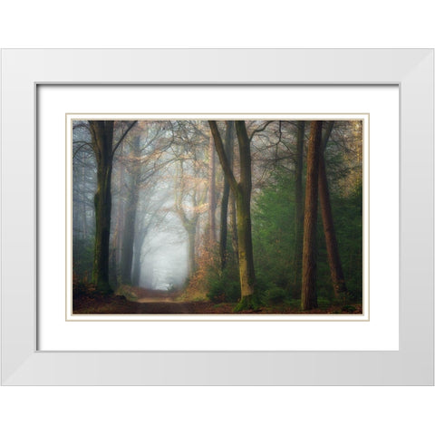 Once Upon A Dream White Modern Wood Framed Art Print with Double Matting by Borggreve, Ellen