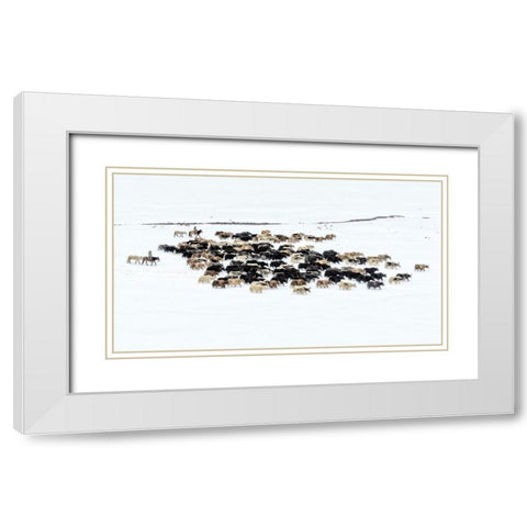 Yaks In Snow White Modern Wood Framed Art Print with Double Matting by Zhu, Hua
