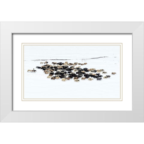 Yaks In Snow White Modern Wood Framed Art Print with Double Matting by Zhu, Hua