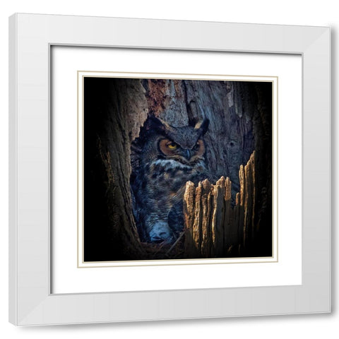 Hide And Seek White Modern Wood Framed Art Print with Double Matting by Cheng, Yu