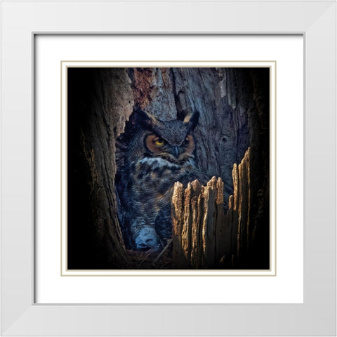 Hide And Seek White Modern Wood Framed Art Print with Double Matting by Cheng, Yu