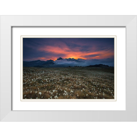 Blooming Dawn White Modern Wood Framed Art Print with Double Matting by Manzoni, Michel