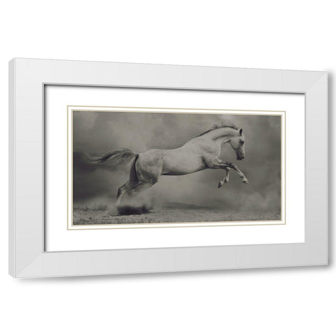 Parical White Modern Wood Framed Art Print with Double Matting by Dashtrazmi, Hamze