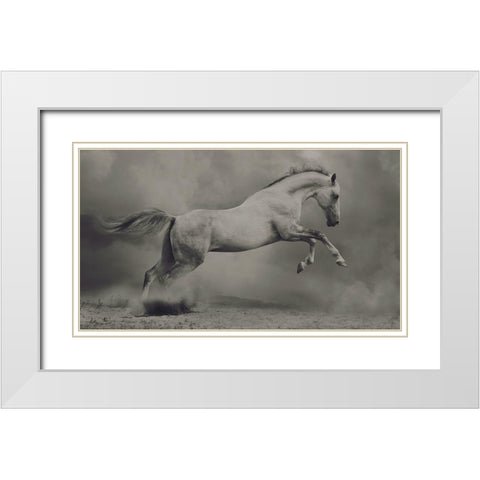 Parical White Modern Wood Framed Art Print with Double Matting by Dashtrazmi, Hamze