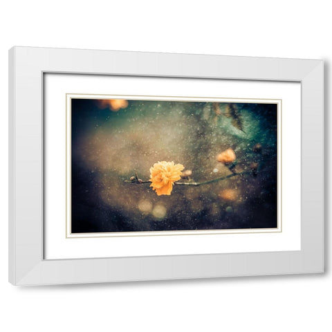 Spring White Modern Wood Framed Art Print with Double Matting by Bernardino Coelho, Antonio