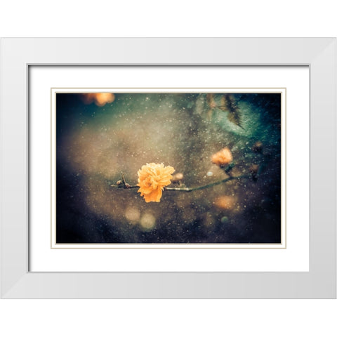 Spring White Modern Wood Framed Art Print with Double Matting by Bernardino Coelho, Antonio