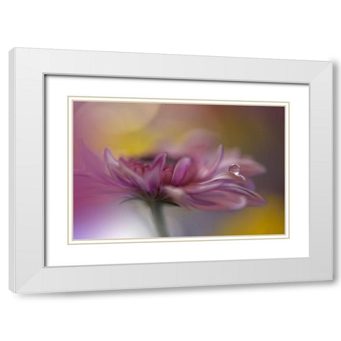 Beyond Words... White Modern Wood Framed Art Print with Double Matting by Nan, Juliana