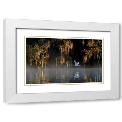 Egret White Modern Wood Framed Art Print with Double Matting by Zhu, Hua