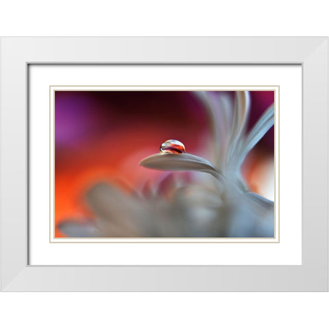 Happy Colors White Modern Wood Framed Art Print with Double Matting by Westum, Heidi