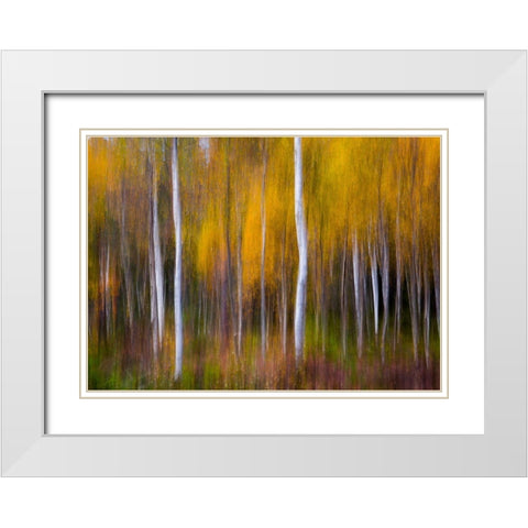 Abstract Fall White Modern Wood Framed Art Print with Double Matting by Christensen, Andreas