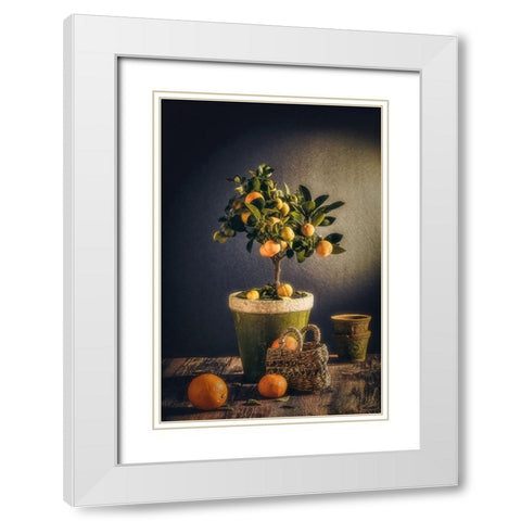 Winter White Modern Wood Framed Art Print with Double Matting by Al-Dien Mahmoud, Nour