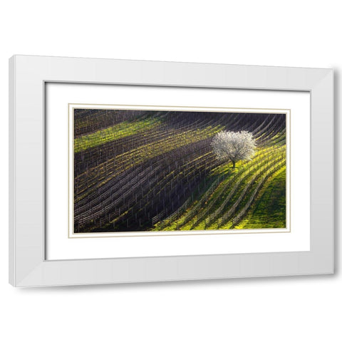 Strings Of Spring White Modern Wood Framed Art Print with Double Matting by Sokolovsky, Vlad