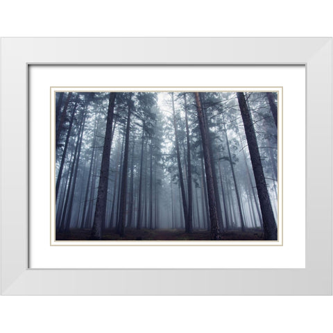 Mysterious Foggy Forest. White Modern Wood Framed Art Print with Double Matting by Charouz, David