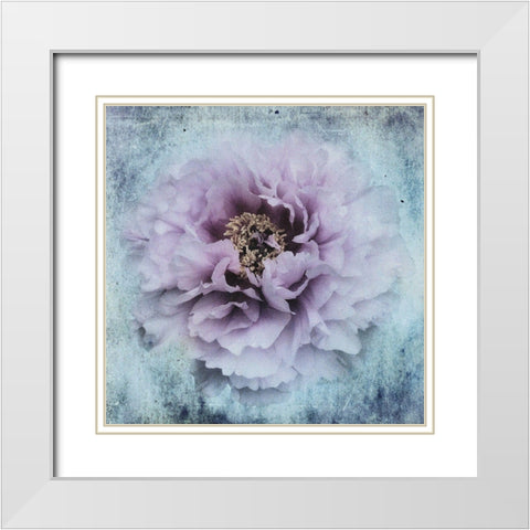 The Season I Love White Modern Wood Framed Art Print with Double Matting by Eisele, Stefan