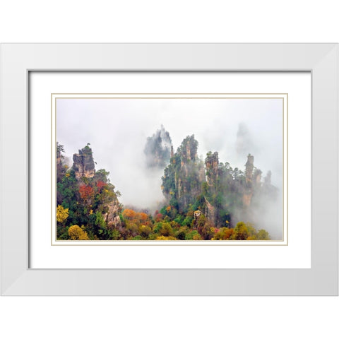 Zhang Jia Jie Fall Color White Modern Wood Framed Art Print with Double Matting by Zhu, Hua