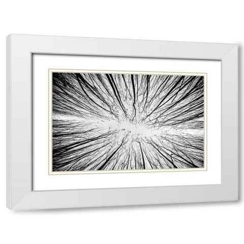 Up To The Sky White Modern Wood Framed Art Print with Double Matting by Denisvesely
