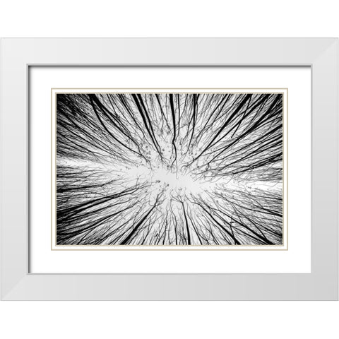 Up To The Sky White Modern Wood Framed Art Print with Double Matting by Denisvesely