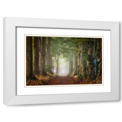 Forward White Modern Wood Framed Art Print with Double Matting by Borggreve, Ellen