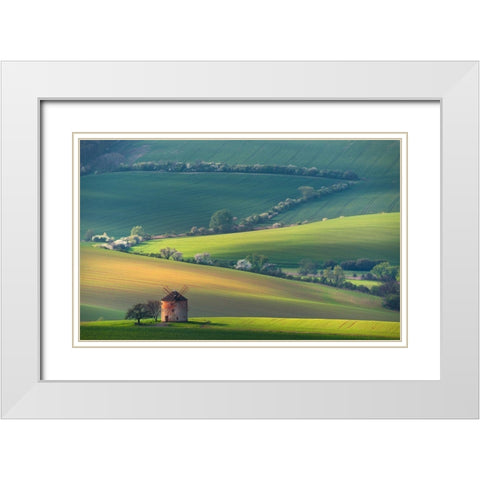 About Forms A Lines White Modern Wood Framed Art Print with Double Matting by Sokolovsky, Vlad