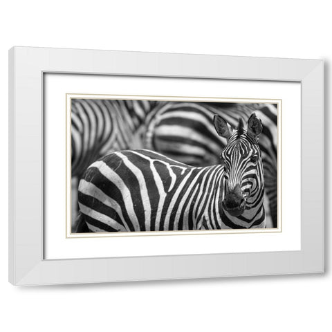 Stripes White Modern Wood Framed Art Print with Double Matting by Catta, Alessandro